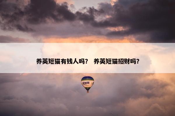 养英短猫有钱人吗？ 养英短猫招财吗？