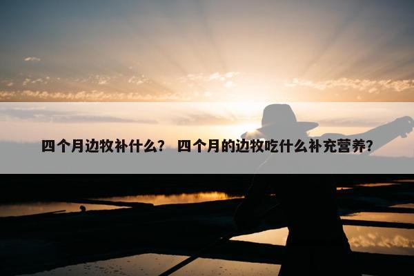 四个月边牧补什么？ 四个月的边牧吃什么补充营养？