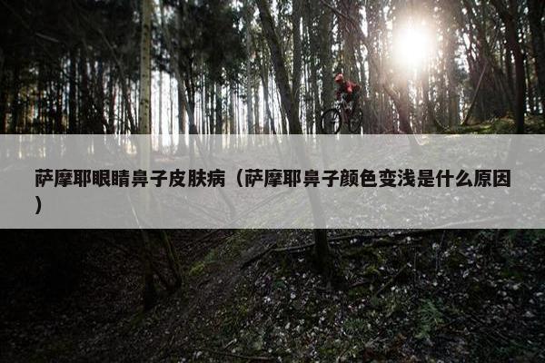 萨摩耶眼睛鼻子皮肤病（萨摩耶鼻子颜色变浅是什么原因）
