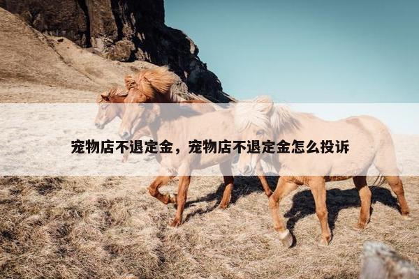 宠物店不退定金，宠物店不退定金怎么投诉