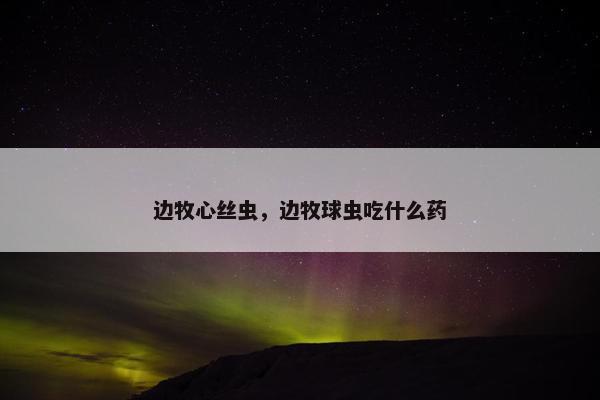 边牧心丝虫，边牧球虫吃什么药