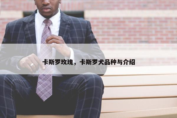 卡斯罗玫瑰，卡斯罗犬品种与介绍