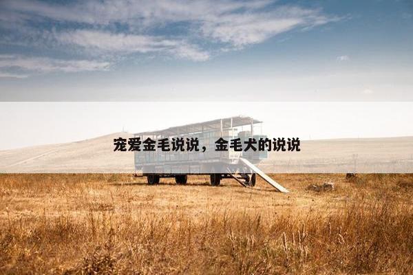 宠爱金毛说说，金毛犬的说说
