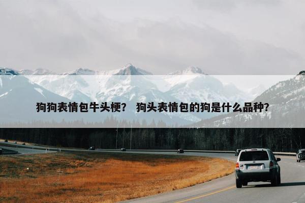 狗狗表情包牛头梗？ 狗头表情包的狗是什么品种？