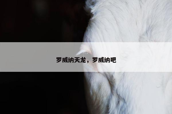 罗威纳天龙，罗威纳吧