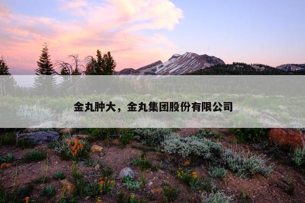金丸肿大，金丸集团股份有限公司