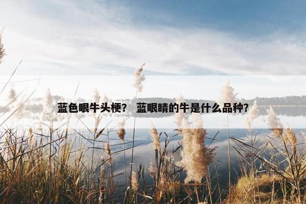 蓝色眼牛头梗？ 蓝眼睛的牛是什么品种？