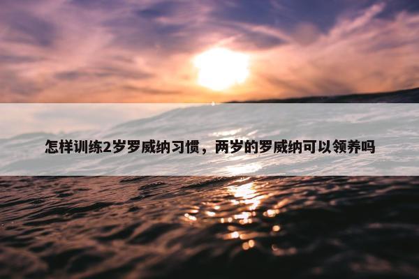 怎样训练2岁罗威纳习惯，两岁的罗威纳可以领养吗