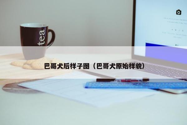 巴哥犬后样子图（巴哥犬原始样貌）