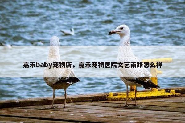 嘉禾baby宠物店，嘉禾宠物医院文艺南路怎么样