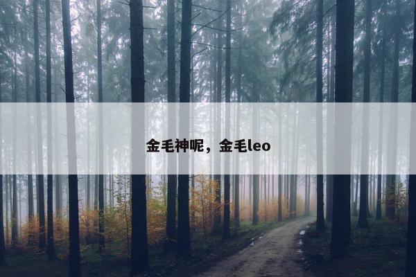 金毛神呢，金毛leo