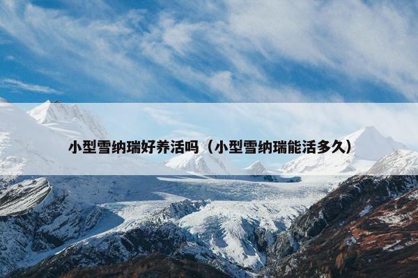 小型雪纳瑞好养活吗（小型雪纳瑞能活多久）