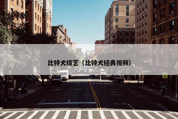 比特犬综艺（比特犬经典视频）