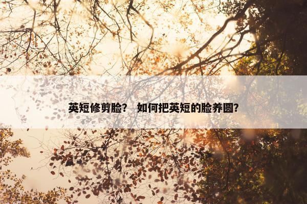 英短修剪脸？ 如何把英短的脸养圆？