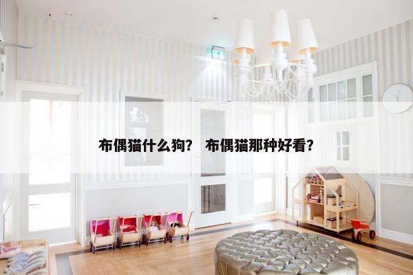 布偶猫什么狗？ 布偶猫那种好看？