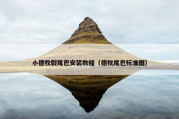 小德牧假尾巴安装教程（德牧尾巴标准图）