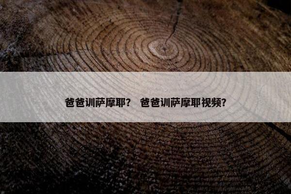 爸爸训萨摩耶？ 爸爸训萨摩耶视频？