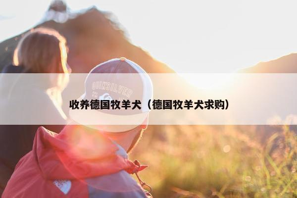 收养德国牧羊犬（德国牧羊犬求购）