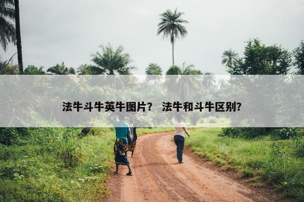 法牛斗牛英牛图片？ 法牛和斗牛区别？