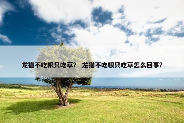 龙猫不吃粮只吃草？ 龙猫不吃粮只吃草怎么回事？
