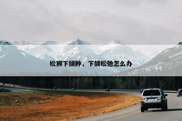 松狮下颌肿，下颌松弛怎么办