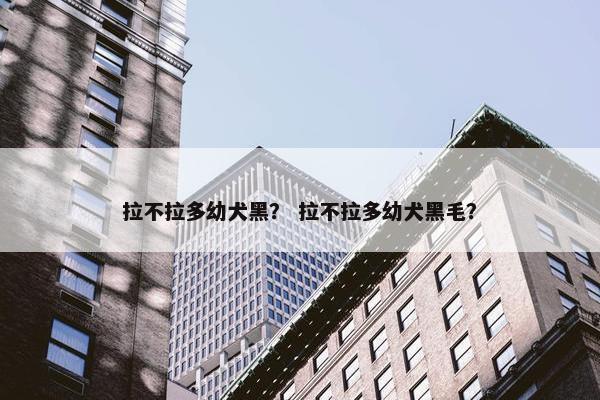 拉不拉多幼犬黑？ 拉不拉多幼犬黑毛？