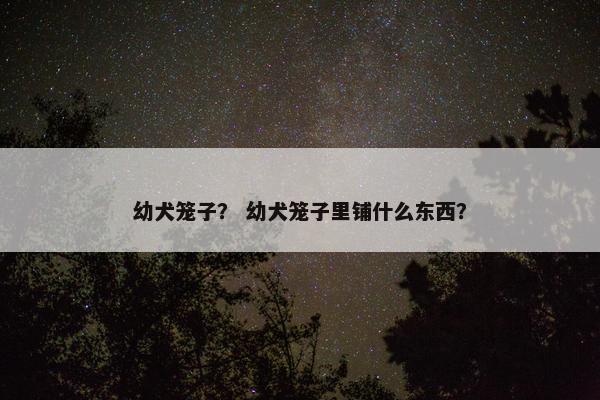 幼犬笼子？ 幼犬笼子里铺什么东西？
