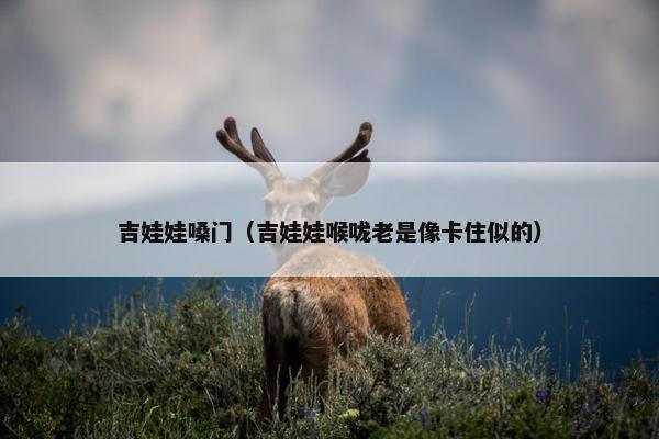 吉娃娃嗓门（吉娃娃喉咙老是像卡住似的）