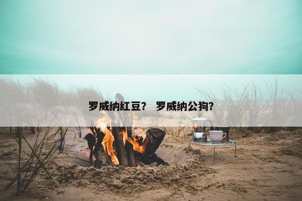 罗威纳红豆？ 罗威纳公狗？