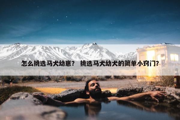 怎么挑选马犬幼崽？ 挑选马犬幼犬的简单小窍门？