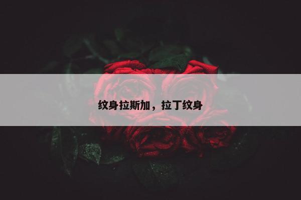 纹身拉斯加，拉丁纹身