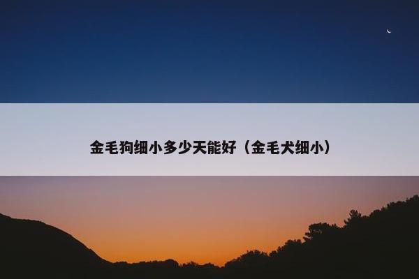 金毛狗细小多少天能好（金毛犬细小）