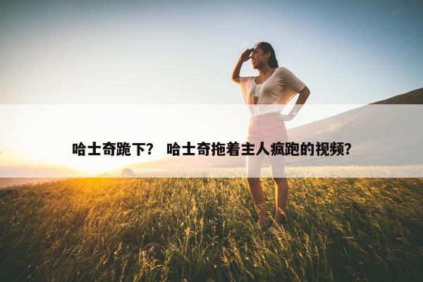 哈士奇跪下？ 哈士奇拖着主人疯跑的视频？