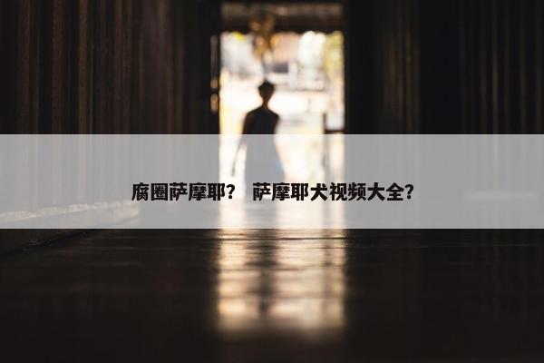 腐圈萨摩耶？ 萨摩耶犬视频大全？