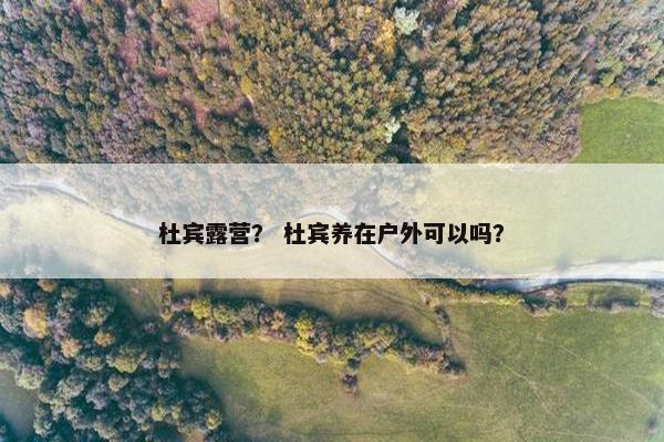 杜宾露营？ 杜宾养在户外可以吗？