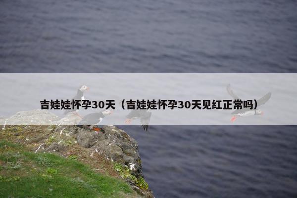吉娃娃怀孕30天（吉娃娃怀孕30天见红正常吗）