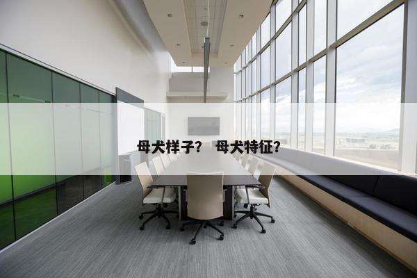 母犬样子？ 母犬特征？