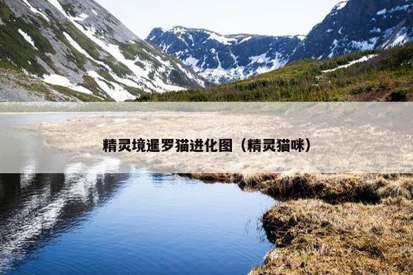 精灵境暹罗猫进化图（精灵猫咪）