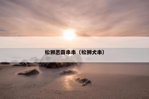 松狮恶霸串串（松狮犬串）