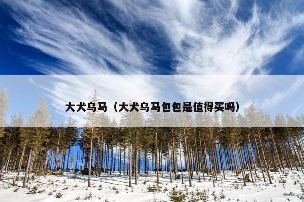 大犬乌马（大犬乌马包包是值得买吗）