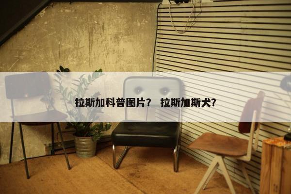 拉斯加科普图片？ 拉斯加斯犬？