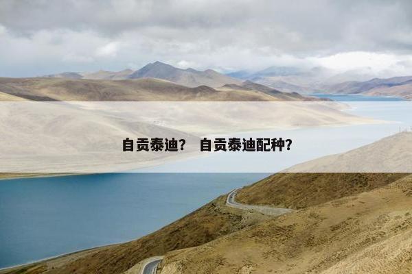 自贡泰迪？ 自贡泰迪配种？