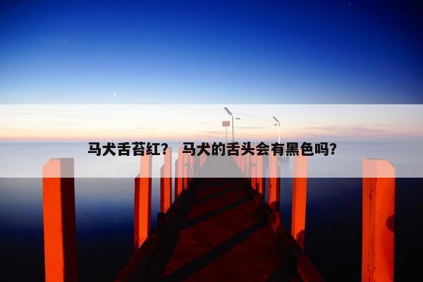 马犬舌苔红？ 马犬的舌头会有黑色吗？