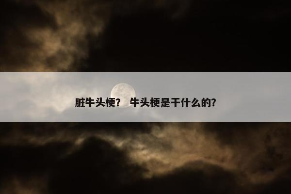 脏牛头梗？ 牛头梗是干什么的？