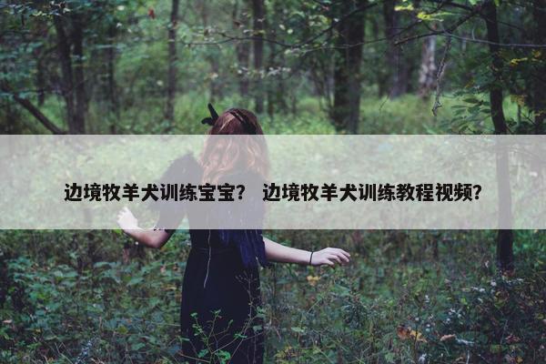 边境牧羊犬训练宝宝？ 边境牧羊犬训练教程视频？