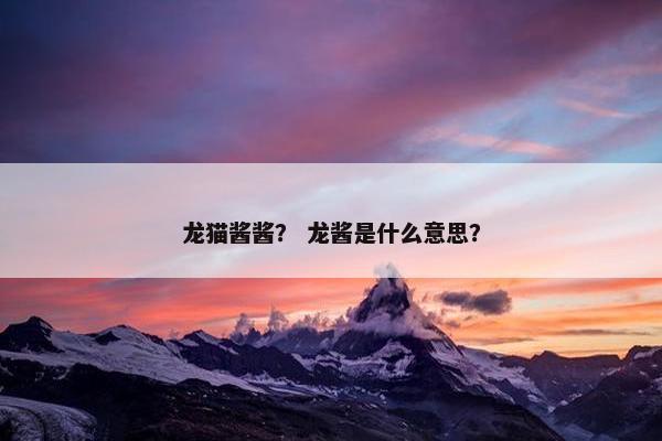 龙猫酱酱？ 龙酱是什么意思？