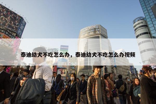 泰迪幼犬不吃怎么办，泰迪幼犬不吃怎么办视频