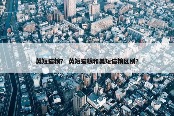 英短猫粮？ 英短猫粮和美短猫粮区别？