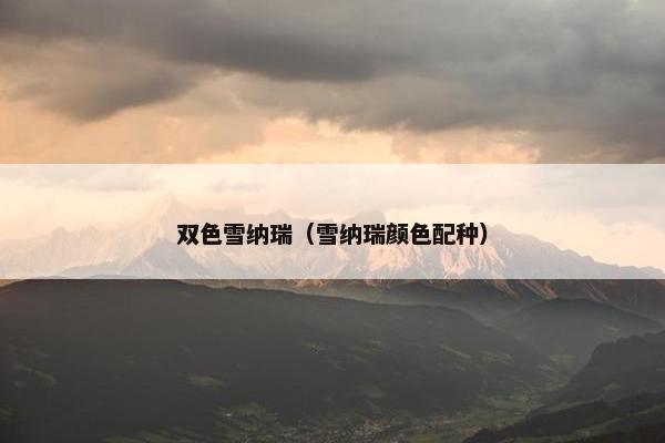 双色雪纳瑞（雪纳瑞颜色配种）