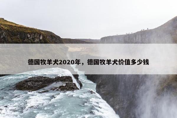 德国牧羊犬2020年，德国牧羊犬价值多少钱